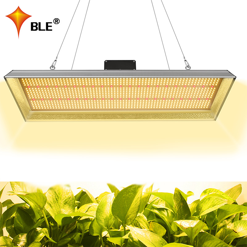 多肉植物のための植物300wLEDグローライト