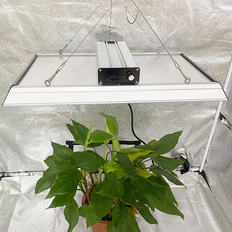 低エネルギーのフルスペクトルLED熱帯植物のための光を成長させる