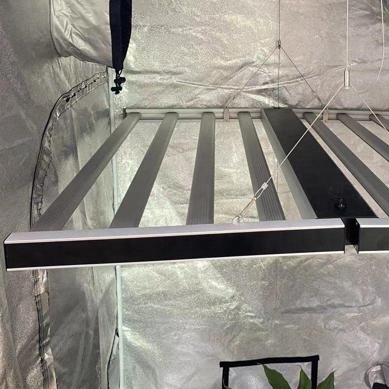 屋内1000W LEDは、多肉植物のために光を成長させます