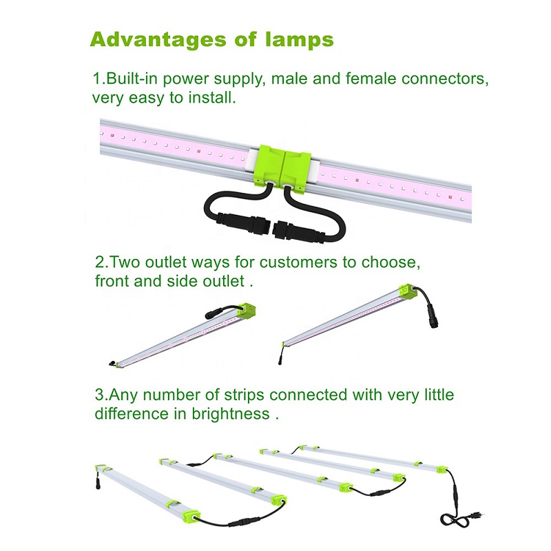 蘭のための高性能40ワット線形LED成長ライト