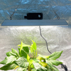 量子市販のLEDはトマトのために光を成長させます